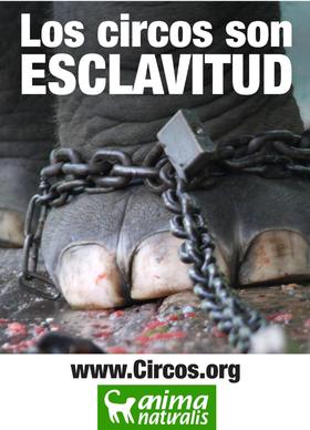 Circos son Esclavitud