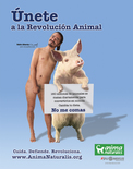 Rubén Albarrán para AnimaNaturalis