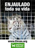 Enjaulados toda su vida