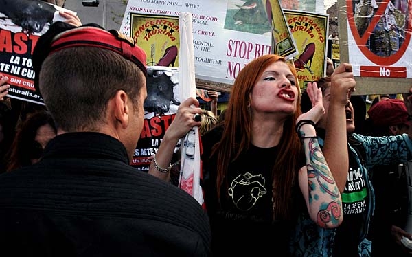 Cataluña está más cerca de prohibir los toros.