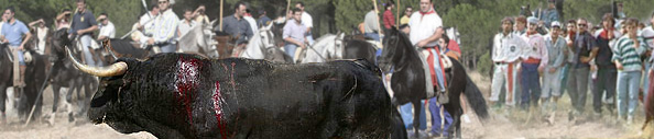 Baner Tordesillas 2008