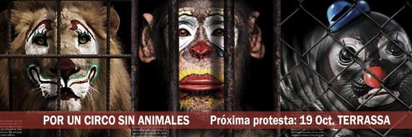 Campaña por un Circo Sin Animales