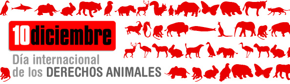 10 diciembre. Dia Internacional derechos animales