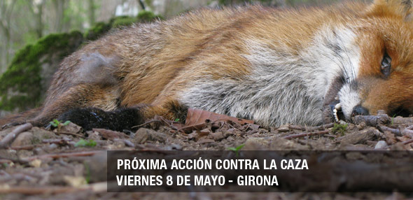 Acto contra la caza en Girona