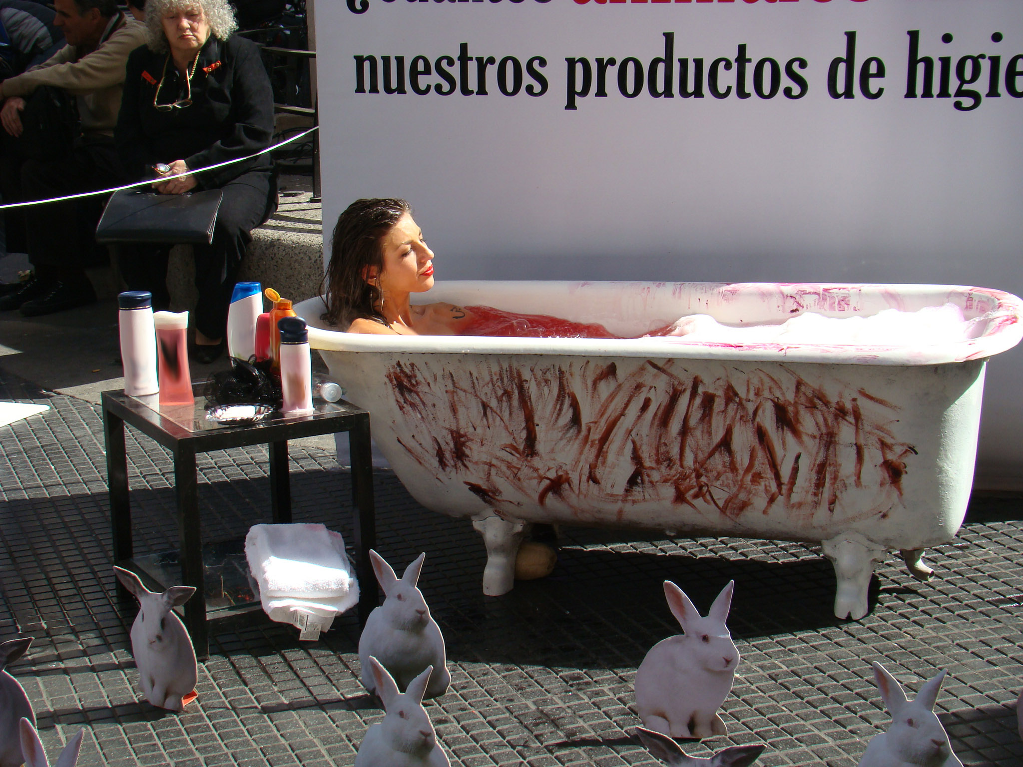 Animales de Laboratorio: una Verdad Escalofriante