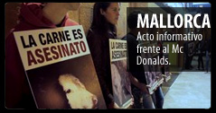 Foto Acto Mallorca