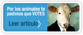 Artículo de AnimaNaturalis sobre                                 las elecciones generales 2011