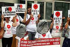 Día Mundial en contra de la matanza de Delfines de Taijin 