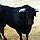 Toro de vega Rompesueños 2006