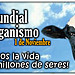 Banner dia mundial del veganismo