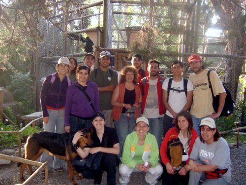 Voluntariado al centro de rescate y rehabilitación de primates de Peñaflor