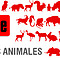 10 diciembre dia internacional derechos animales