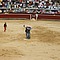 activistas saltan al ruedo