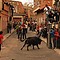Bous al carrer