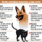 Esterilización bajo costo Chile