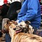 0. Galgos12