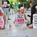 Acto contra P&G Valencia 2009_4