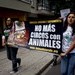 Día Mundial de los Animales en México 2009