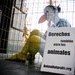 Día de los Derechos de los Animales - México 2009