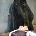 Zoológico de Chapultepec - México DF