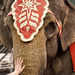Elefante de circo