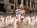 ¿Cuántos conejos mata tu champú? AnimaNaturalis protesto hoy en el Día Mundial contra Procter&Gamble. Barcelona.
