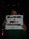 AnimaNaturalis Chile estuvo presente en la conmemoración en Santiago del Día del Animal Abandonado 2006, rememorando la matanza de animales sin hogar que ocurrió el pasado marzo en la Plaza de la Constitución a raíz del cambio de mando en el país.