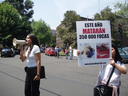 México DF, 15 de marzo 2007. Acto contra la caza de focas en Canadá. La presidente de AnimaNaturalis, Leonora Esquivel Frías, entregó una carta al embajador canadiense en México, para solicitar el cese de la matanza.