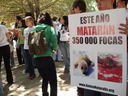 México DF, 15 de marzo 2007. Acto contra la caza de focas en Canadá. La presidente de AnimaNaturalis, Leonora Esquivel Frías, entregó una carta al embajador canadiense en México, para solicitar el cese de la matanza.
