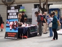 Durante todo el día se repartieon folletos y se entregó información sobre vegetarianismo y todo lo que conlleva comer carne. 