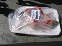 Activistas de AnimaNaturalis se metieron en una bandeja gigante simulando ser carne humana preparada para consumir, de la misma manera que se presenta la carne de otros animales. 
