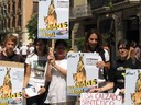Barcelona, España. Viva! y AnimaNaturalis realizaron un acto contra la matanza de canguros y su uso para la industria del cuero y carne. La compañía de accesorios deportivos Adidas es una de las principales promotoras de esta tragedia, que le cuesta la vi