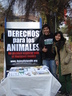 06.06.07. Santiago de Chile. En el marco de la Semana del Medio Ambiente organizada por la Universidad Metropolitana de Ciencias de la Educación, AnimaNaturalis estuvo presente informando a los estudiantes sobre el trato ético hacia los animales.