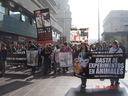 28.04.07. Para el cierre de la Semana Internacional contra la Experimentación en Animales, diversas organizaciones llevaron a cabo una multitudinaria marcha por el centro de Santiago, Chile. La actividad hizo manifiesto el amplio rechazo al Bioterio de Pr