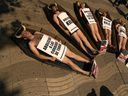 07.06.07. Barcelona. Activistas de AnimaNaturalis posaron dentro de ataudes simulando ser los 6 toros que se matan cada domingo en las corridas de toros.