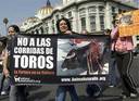 10.06.07. Los activistas de AnimaNaturalis México salieron a la calle para unirse a una gran marcha para exigir una ley que castigue a quienes maltraten a los animales.
