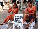 AnimaNaturalis protestó contra la experimentación con animales con dos activistas que se embadurnaron de crema solar ensangrentada con un cartel que decía: ¿Cuántos animales mata tu crema solar?