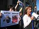 10.03.08. AnimaNaturalis y varias entidades de protección de los animales lograron congregar a más de un centenar de activistas ante el la Oficina Comercial de Canadá.