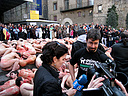 27.01.08. M�s de 150 activistas se desnudan manchados de sangre en la Catedral de Barcelona para simbolizar las v�ctimas de la industria peletera, en un acto organizado por AnimaNaturalis.
