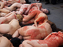 27.01.08. M�s de 150 activistas se desnudan manchados de sangre en la Catedral de Barcelona para simbolizar las v�ctimas de la industria peletera, en un acto organizado por AnimaNaturalis.