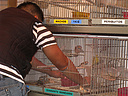 22.05.08 Un grupo de activistas de AnimaNaturalis protestó de nuevo dentro del marco de la campaña por el cierre de los puestos de venta de animales en Las Ramblas de Barcelona