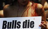 06.07.08. Ensangrentados y con banderillas clavadas en la espalda, 60 activistas protestamos en las mismas puertas de la Plaza de Toros de Pamplona.