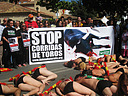 14.09.08 Activistas de AnimaNaturalis protagonizaron hoy en Albacete un acto en contra de las corridas de toros, en el que se exhibieron semidesnudos, con banderillas simuladas clavadas en la espalda y cubiertos de sangre ficticia.
