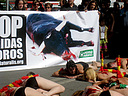 14.09.08 Activistas de AnimaNaturalis protagonizaron hoy en Albacete un acto en contra de las corridas de toros, en el que se exhibieron semidesnudos, con banderillas simuladas clavadas en la espalda y cubiertos de sangre ficticia.