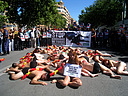 14.09.08 Activistas de AnimaNaturalis protagonizaron hoy en Albacete un acto en contra de las corridas de toros, en el que se exhibieron semidesnudos, con banderillas simuladas clavadas en la espalda y cubiertos de sangre ficticia. 