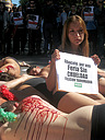 14.09.08 Activistas de AnimaNaturalis protagonizaron hoy en Albacete un acto en contra de las corridas de toros, en el que se exhibieron semidesnudos, con banderillas simuladas clavadas en la espalda y cubiertos de sangre ficticia.