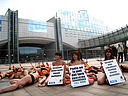 09.10.08 Medio centenar de activistas 