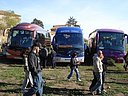 Cerca de 200 manifestantes nos congregamos en Medinaceli y en Soria para protestar contra la fiesta del Toro de J煤bilo. Los activistas, convocados por el PACMA y apoyados por una decena de organizaciones de toda Espa帽a, acudimos con autocares desde Catalu