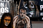 14.12.08 Cinco miembros de AnimaNaturalis protestaron pintados de animales frente al Circo Americano en Madrid.