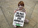 07.01.09 AnimaNaturalis ha realizado hoy un acto de protesta frente al Ayuntamiento de Tarragona, en el que activistas desnudas y con el cuerpo pintado de felino se han enjaulado para protestar contra el Circo de Venecia, que emplea a animales en sus espe